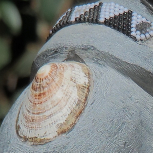 sculpture detail - shell 'epaulette'